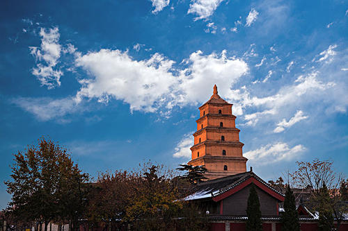 賞曲江美景，體驗中國年